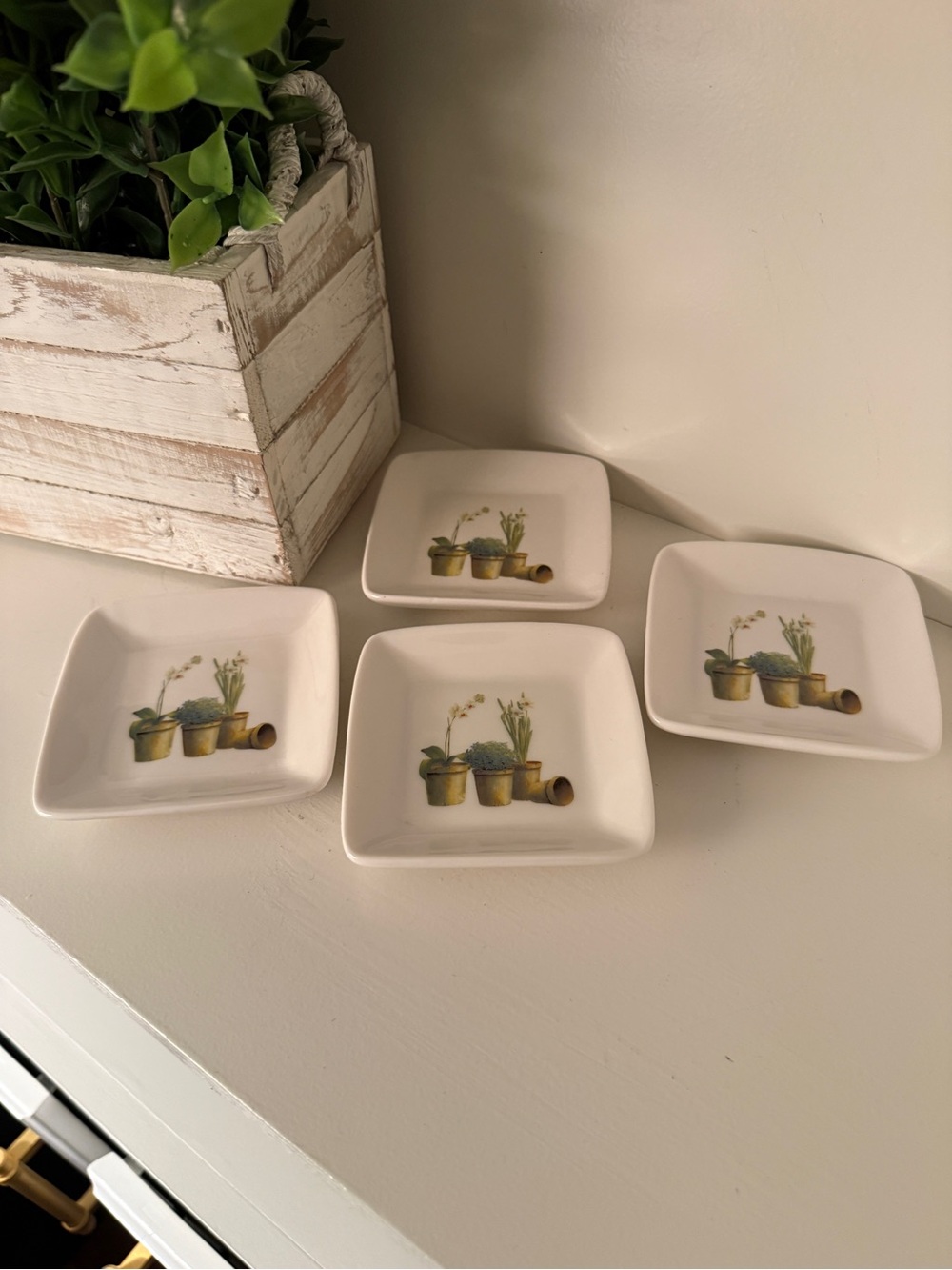 Cypress Home Mini Porcelain Herb Garden Ring Dishes Set of 4 | Cottage Garden Tr